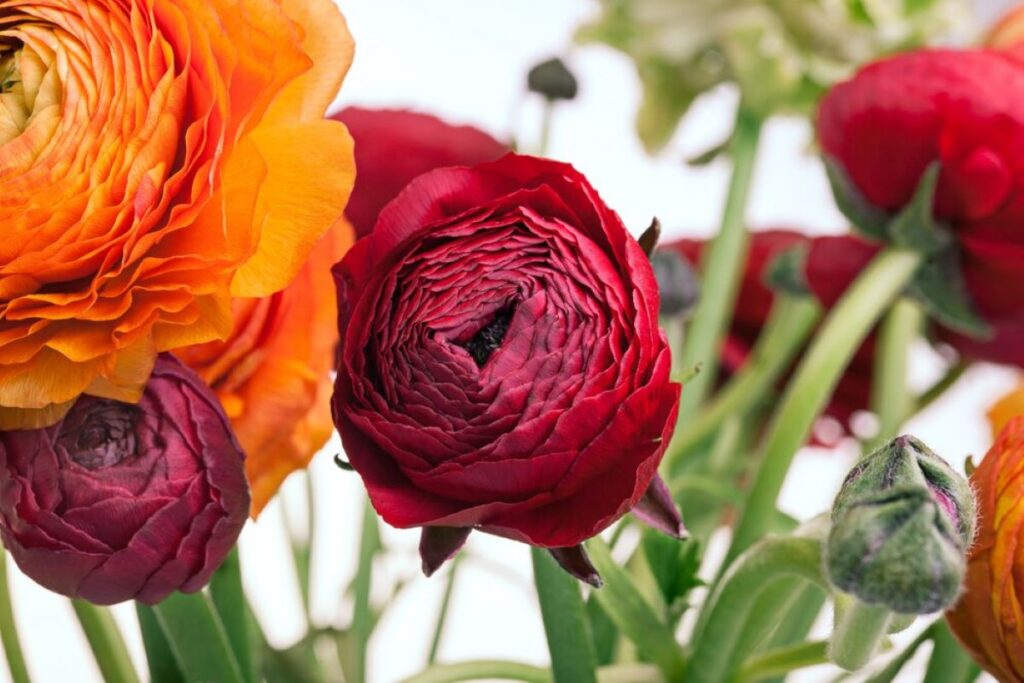 Riverview Flowers