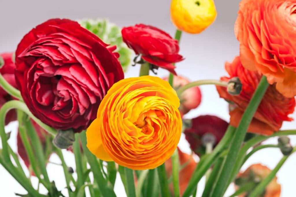 Riverview Flowers