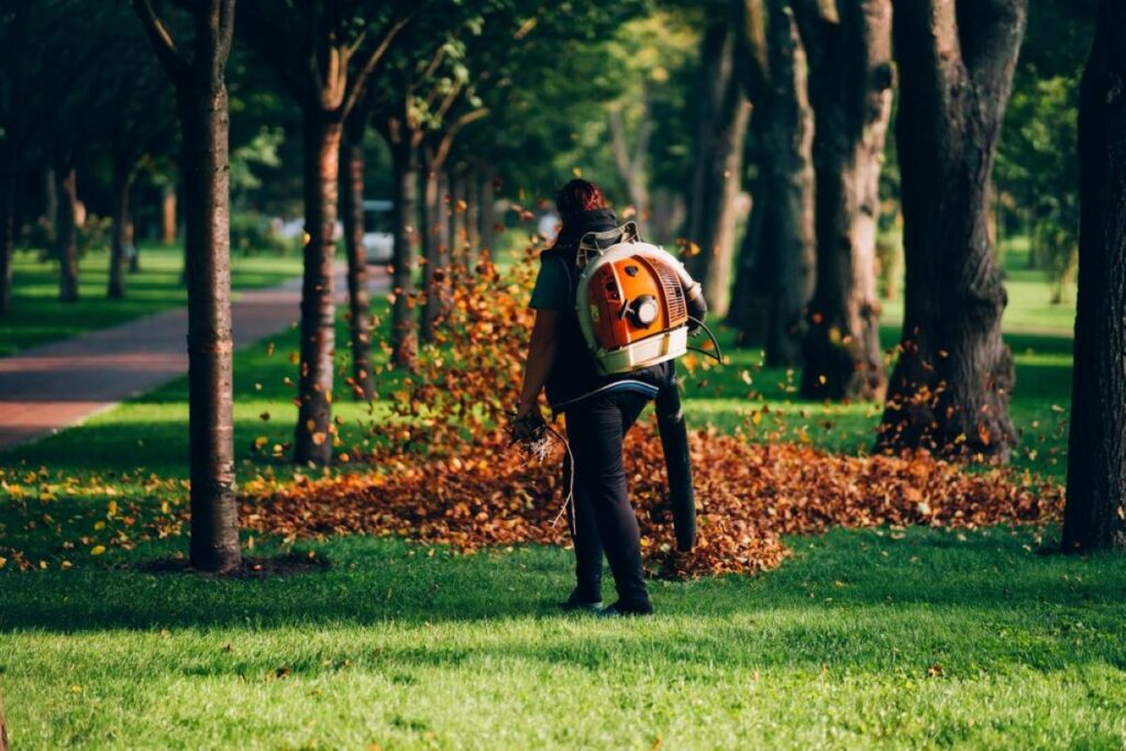 tree pruning services sydney