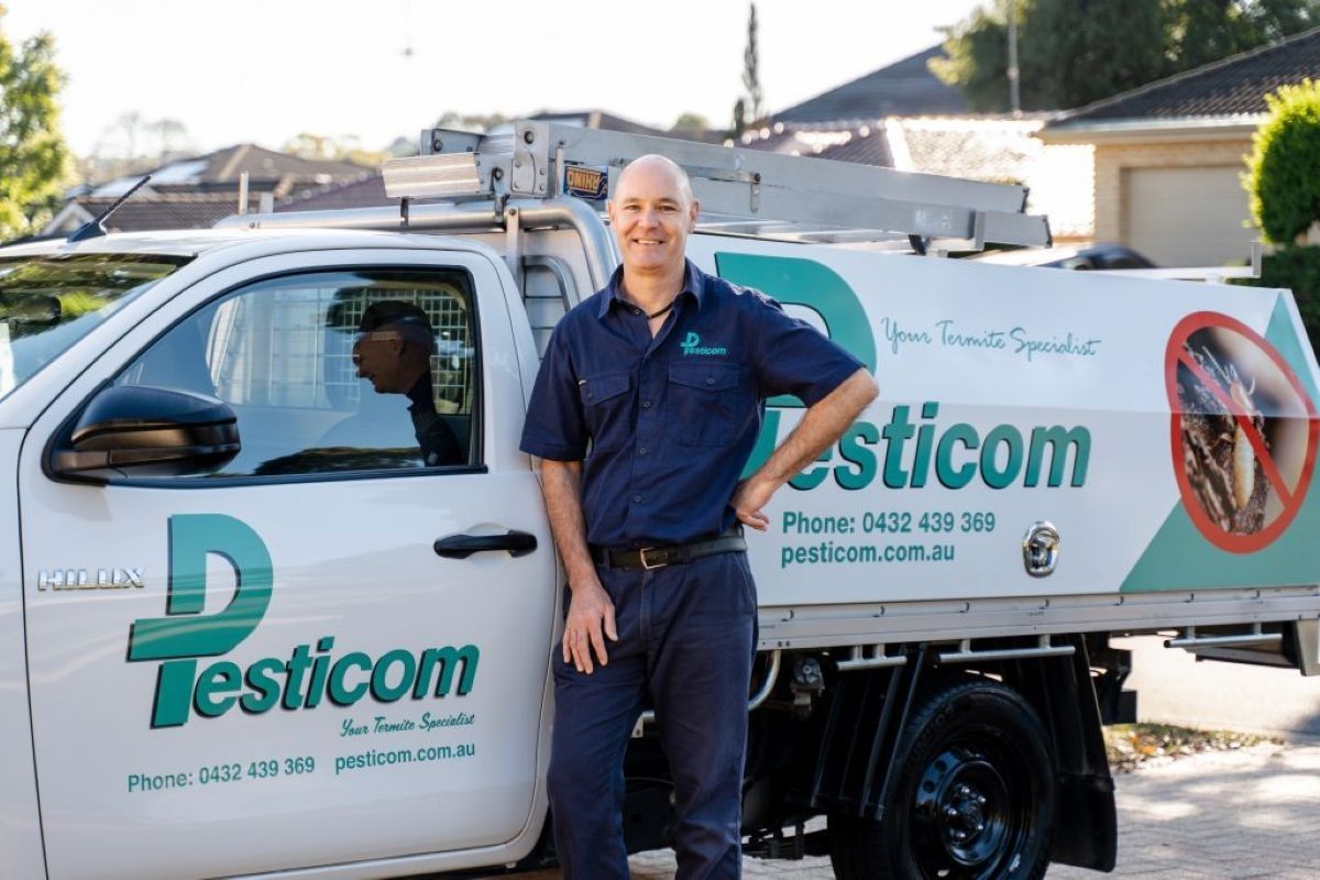 Why Professional Termite Treatment Sydney is Non-Negotiable