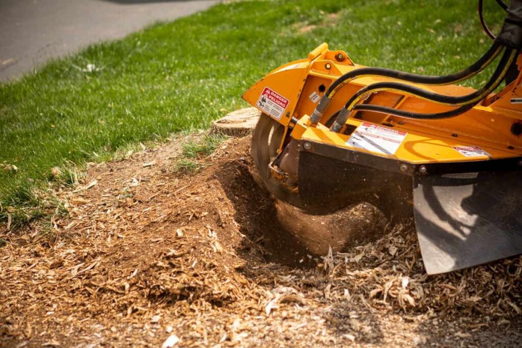 stump grinding sydney